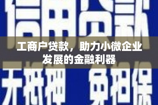 睢宁工商户贷款，助力小微企业发展的金融利器