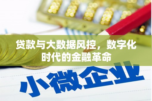 睢宁贷款与大数据风控，数字化时代的金融革命