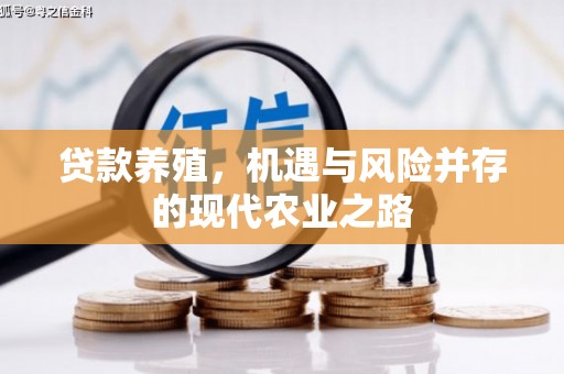 睢宁贷款养殖，机遇与风险并存的现代农业之路