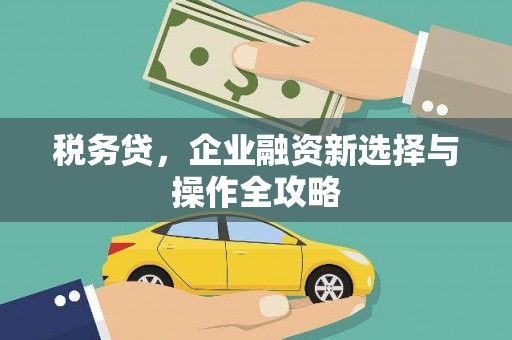 睢宁税务贷，企业融资新选择与操作全攻略