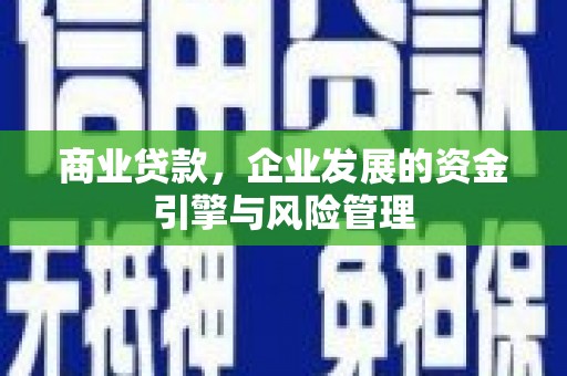 睢宁商业贷款，企业发展的资金引擎与风险管理
