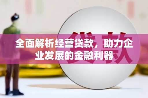 睢宁全面解析经营贷款，助力企业发展的金融利器