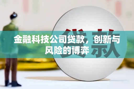 睢宁金融科技公司贷款，创新与风险的博弈