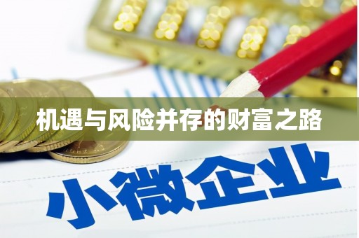 睢宁机遇与风险并存的财富之路