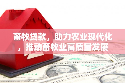 睢宁畜牧贷款，助力农业现代化，推动畜牧业高质量发展