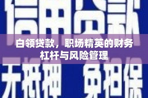 睢宁白领贷款，职场精英的财务杠杆与风险管理