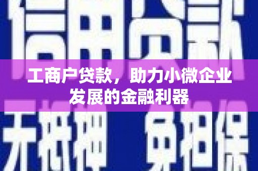 睢宁工商户贷款，助力小微企业发展的金融利器