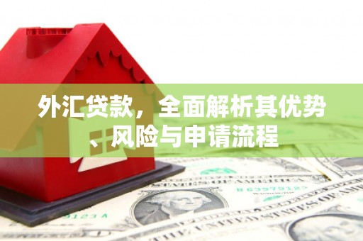 睢宁外汇贷款，全面解析其优势、风险与申请流程