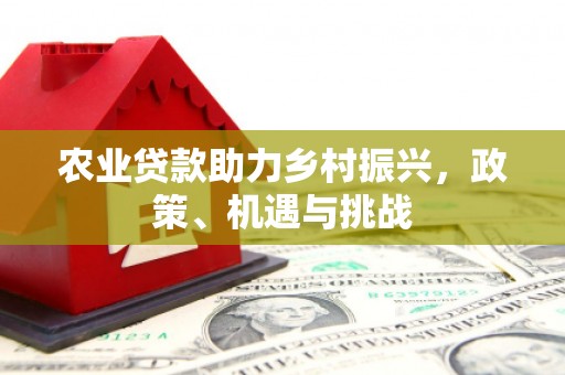睢宁农业贷款助力乡村振兴，政策、机遇与挑战