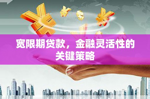 睢宁宽限期贷款，金融灵活性的关键策略