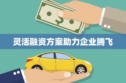 睢宁灵活融资方案助力企业腾飞