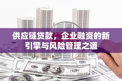 睢宁供应链贷款，企业融资的新引擎与风险管理之道