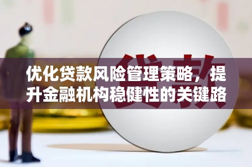 睢宁优化贷款风险管理策略，提升金融机构稳健性的关键路径