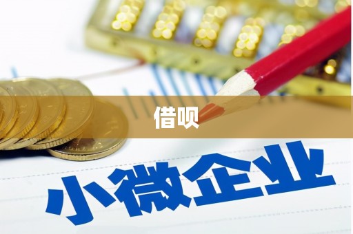 睢宁借呗