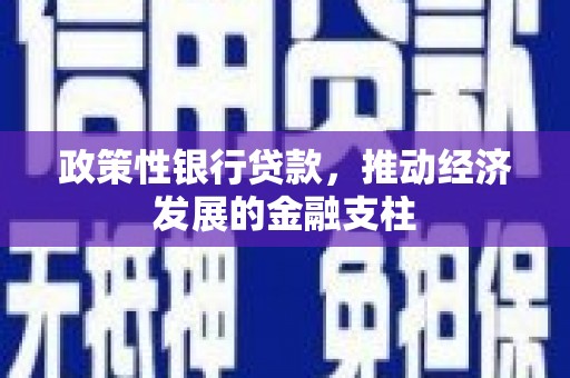 睢宁政策性银行贷款，推动经济发展的金融支柱