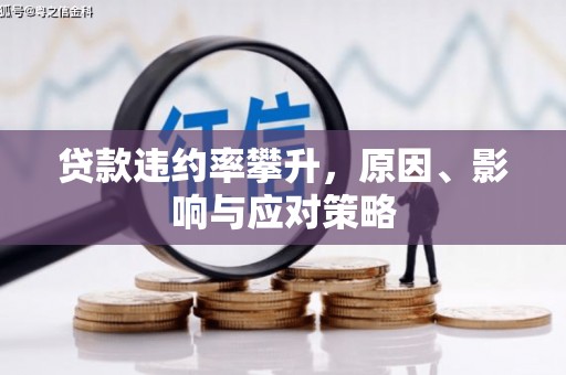睢宁贷款违约率攀升，原因、影响与应对策略