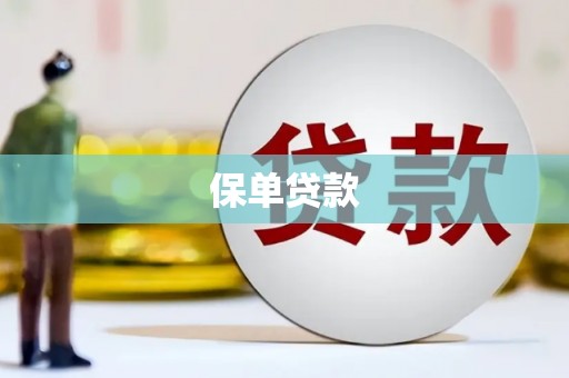 睢宁保单贷款