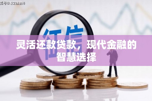 睢宁灵活还款贷款，现代金融的智慧选择