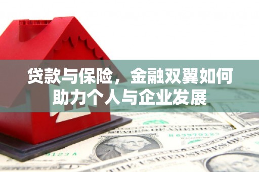睢宁贷款与保险，金融双翼如何助力个人与企业发展