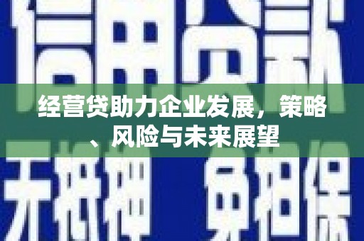 睢宁经营贷助力企业发展，策略、风险与未来展望