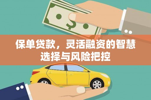 睢宁保单贷款，灵活融资的智慧选择与风险把控