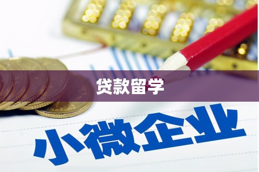 睢宁贷款留学