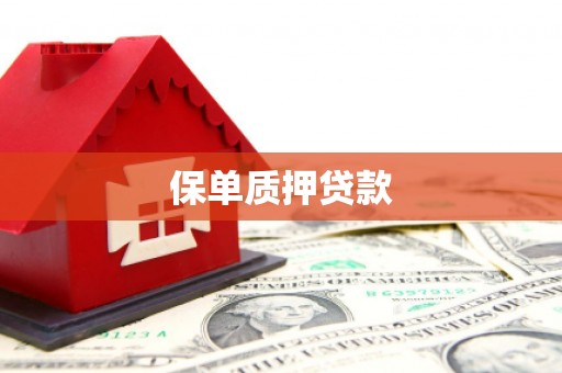 睢宁保单质押贷款
