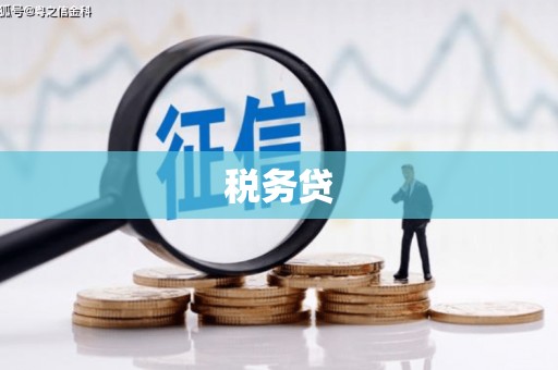 睢宁税务贷