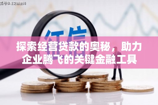 睢宁探索经营贷款的奥秘，助力企业腾飞的关键金融工具