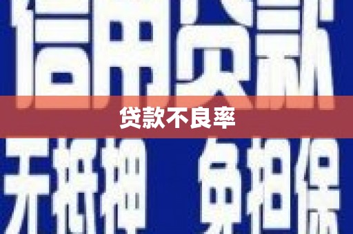 睢宁贷款不良率