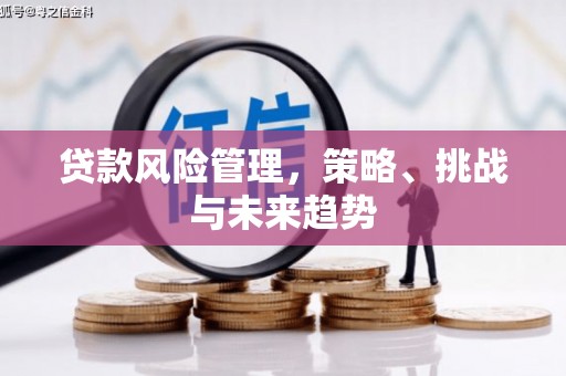 睢宁贷款风险管理，策略、挑战与未来趋势