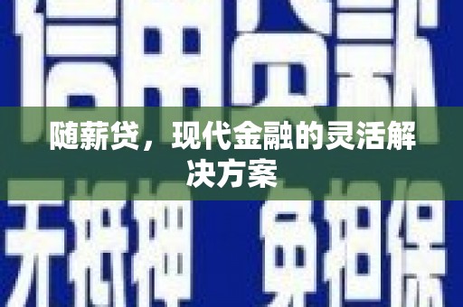 睢宁随薪贷，现代金融的灵活解决方案