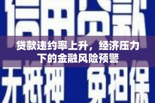 睢宁贷款违约率上升，经济压力下的金融风险预警