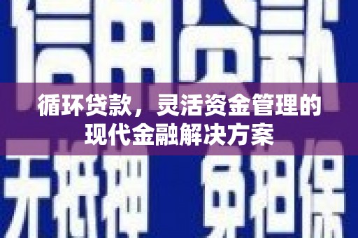 睢宁循环贷款，灵活资金管理的现代金融解决方案