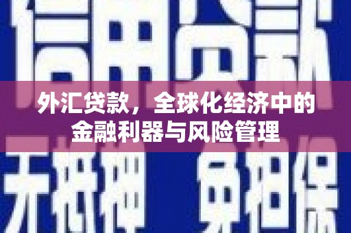 睢宁外汇贷款，全球化经济中的金融利器与风险管理