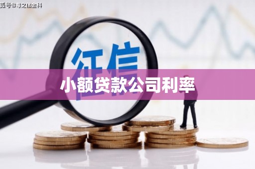 睢宁小额贷款公司利率