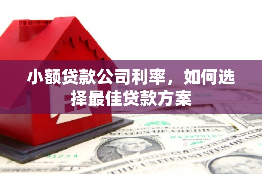 睢宁小额贷款公司利率，如何选择最佳贷款方案