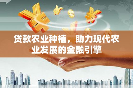 睢宁贷款农业种植，助力现代农业发展的金融引擎