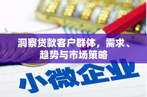 睢宁洞察贷款客户群体，需求、趋势与市场策略