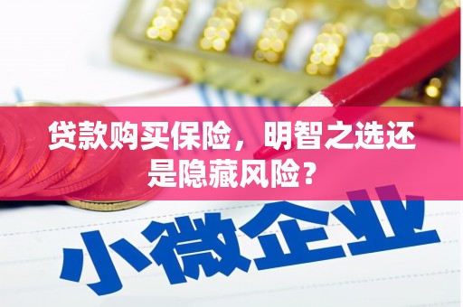 睢宁贷款购买保险，明智之选还是隐藏风险？