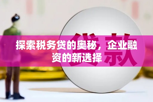 睢宁探索税务贷的奥秘，企业融资的新选择