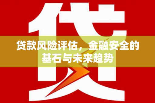 睢宁贷款风险评估，金融安全的基石与未来趋势
