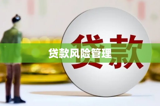 睢宁贷款风险管理
