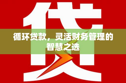 睢宁循环贷款，灵活财务管理的智慧之选