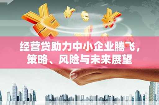 睢宁经营贷助力中小企业腾飞，策略、风险与未来展望