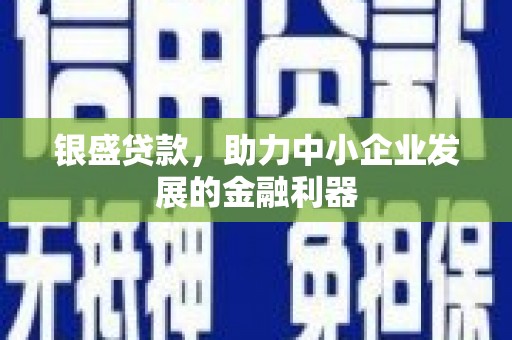 睢宁银盛贷款，助力中小企业发展的金融利器