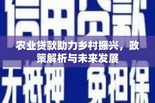 睢宁农业贷款助力乡村振兴，政策解析与未来发展