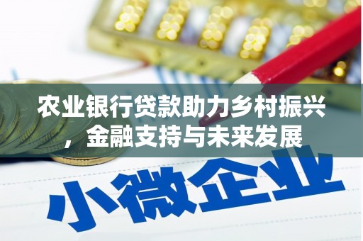睢宁农业银行贷款助力乡村振兴，金融支持与未来发展