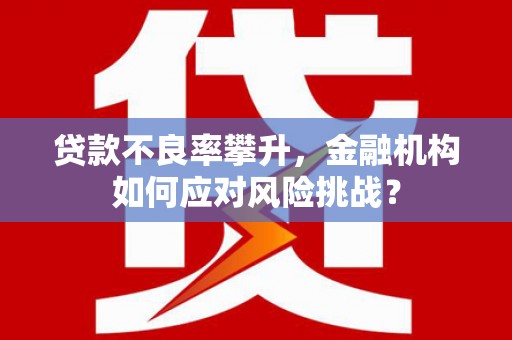睢宁贷款不良率攀升，金融机构如何应对风险挑战？