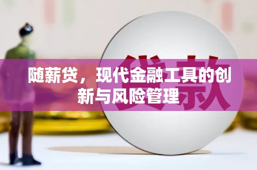 睢宁随薪贷，现代金融工具的创新与风险管理